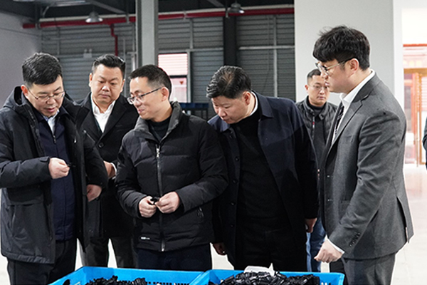 Ningguo Municipal Government leaders came to inspect our company