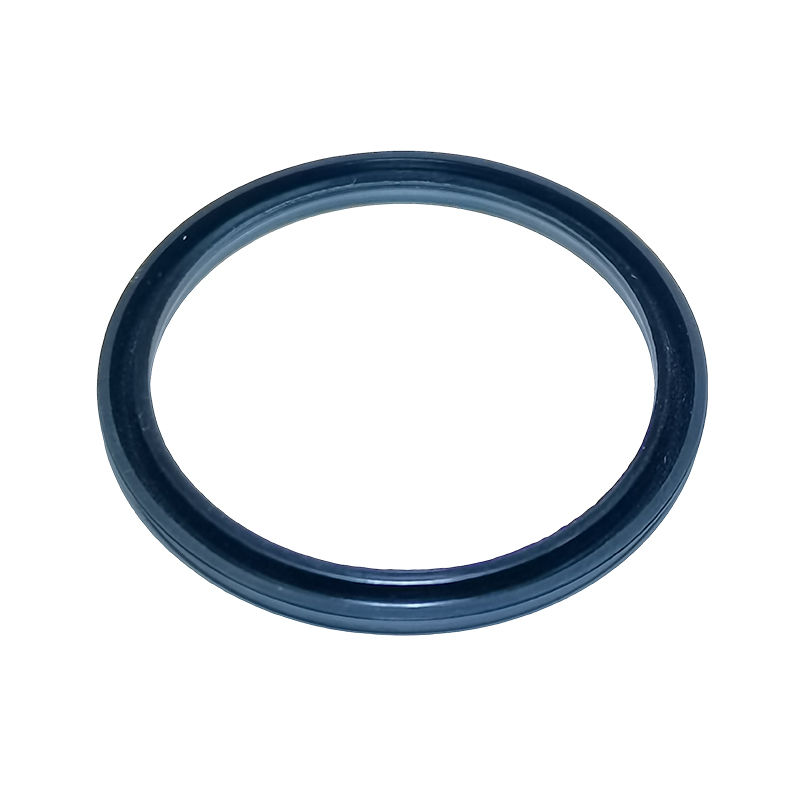 Sealing Ring