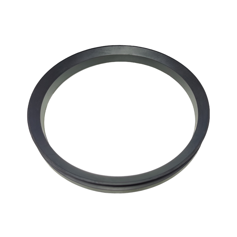 Sealing Ring