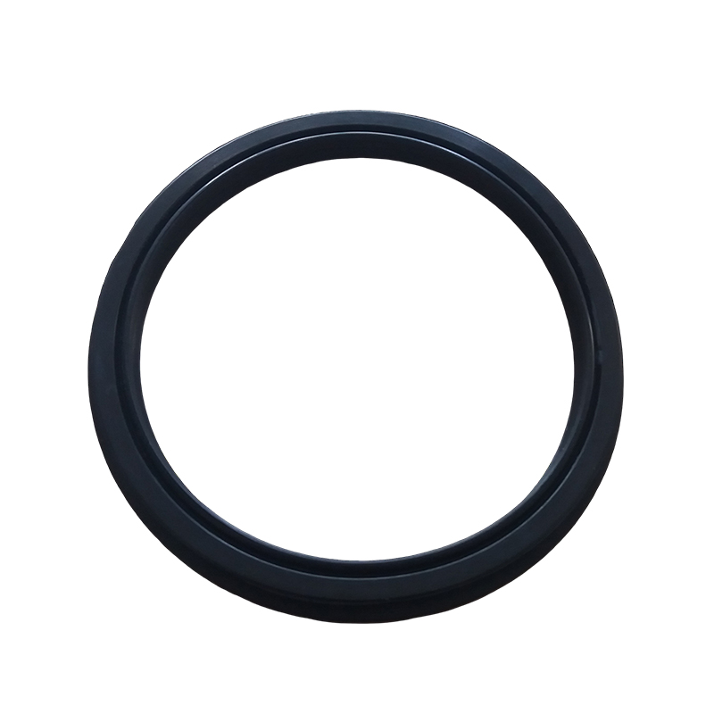 Sealing Ring